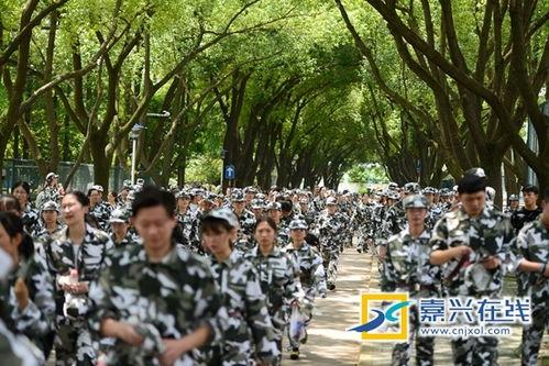 凉亭吃瓜军训跳舞,校园生活的多彩篇章 第2张 凉亭吃瓜军训跳舞,校园生活的多彩篇章 第2张